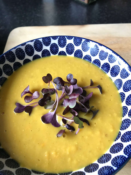 Reimagining the current food system
