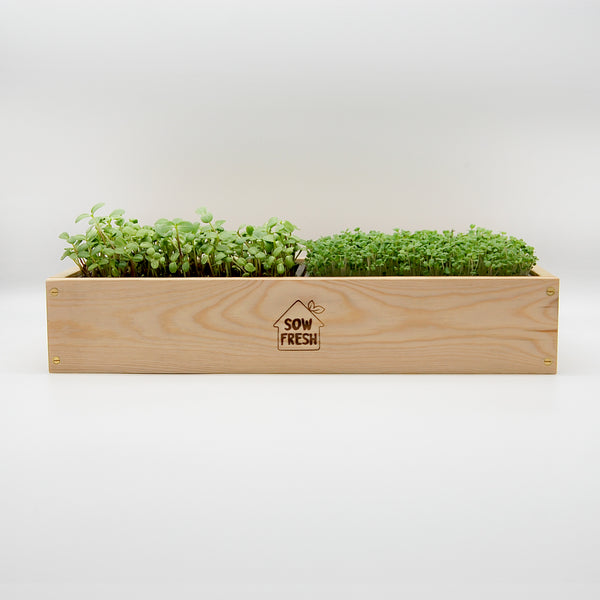 Why microgreens?